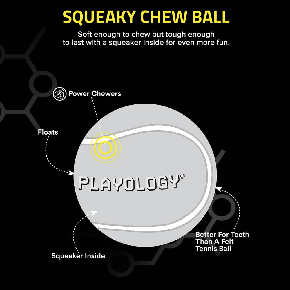 Playology Squeaky Chew Ball two-pack display for value and rotation