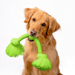 Playology sweet potato scented Encapsiscent toy with long-lasting fragrance