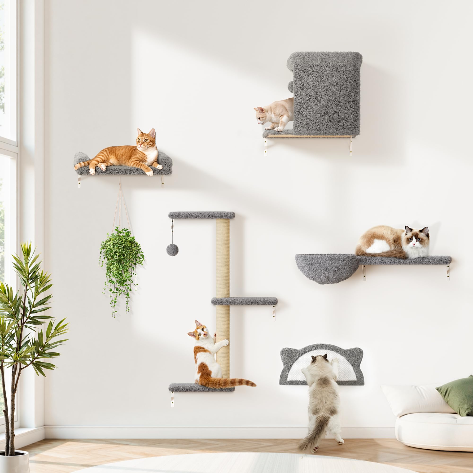 PLEKER 5-in-1 wall shelves feature-set with solid wood and plush velvet for sturdy perches.