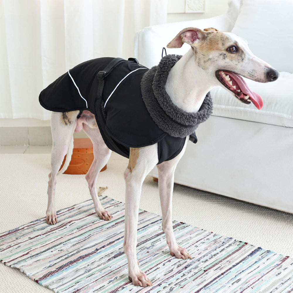 PlentiVive reflective trim coat at night for safer low-light walks.
