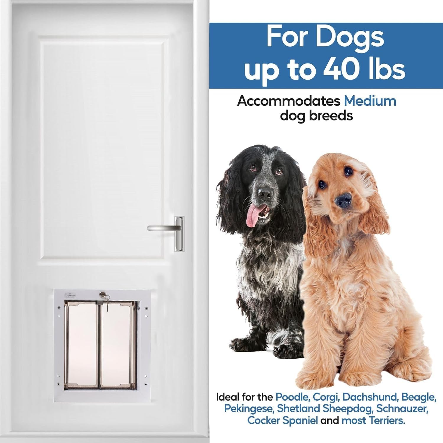 PlexiDor Performance Pet Door lock-and-key mechanism enhances home security and controlled access.