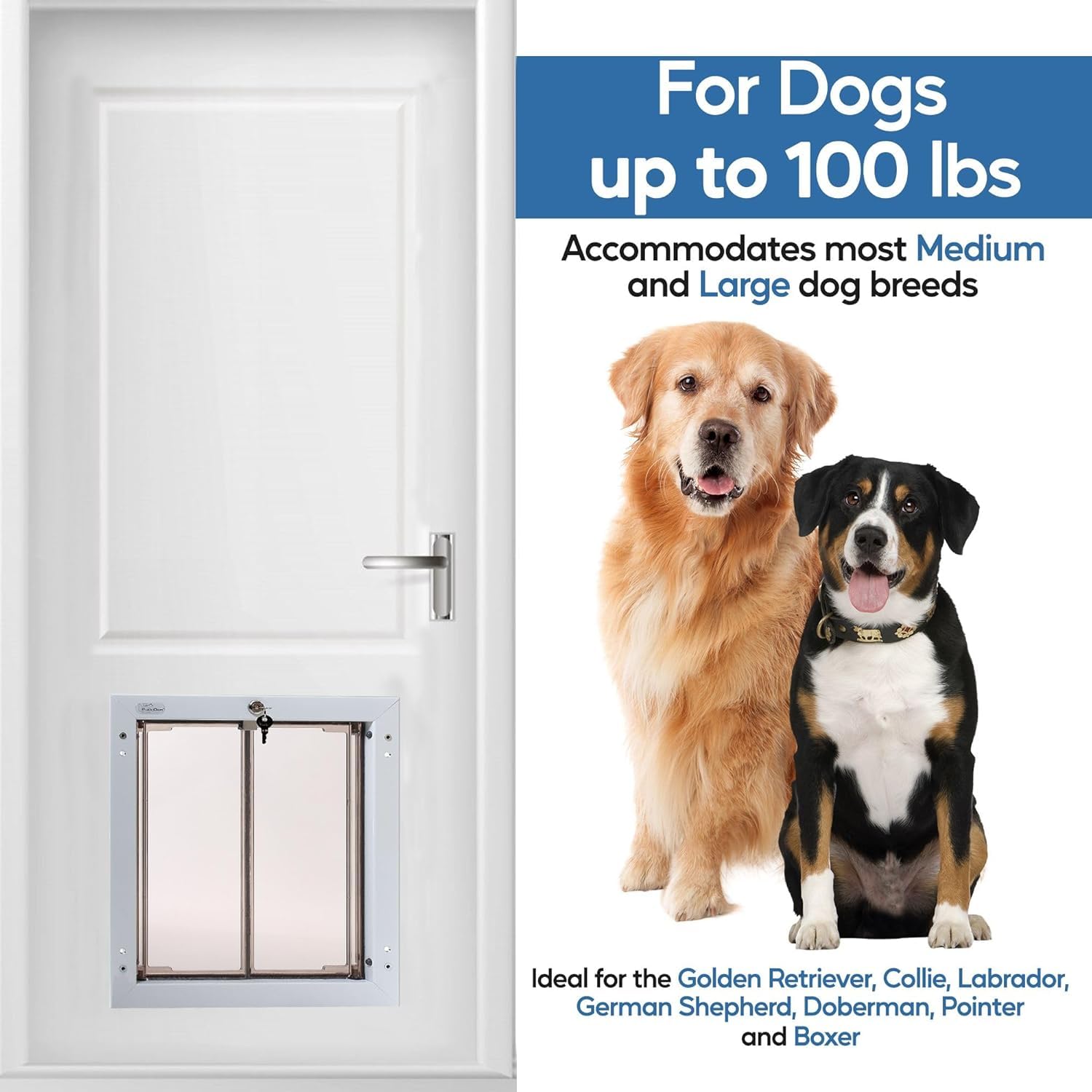 Plexidor two-panel plexiglass design offers visibility and energy efficiency.
