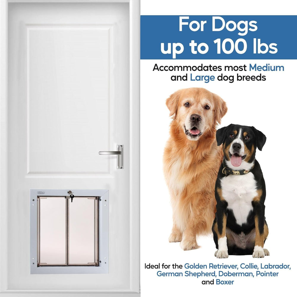 Plexidor two-panel plexiglass design offers visibility and energy efficiency.