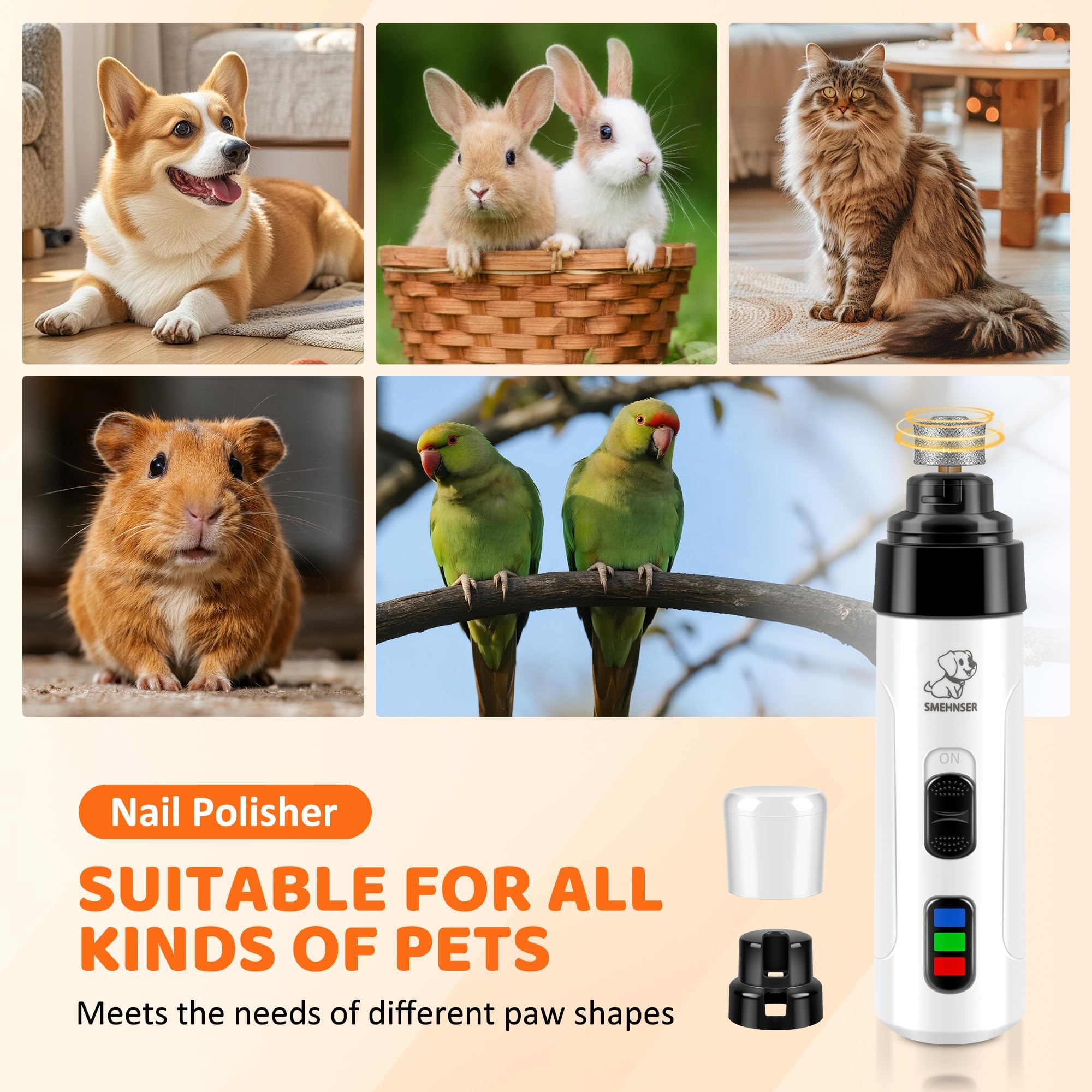 PleySyncz pet wellness grooming session illustration highlighting bonding and nail care benefits.