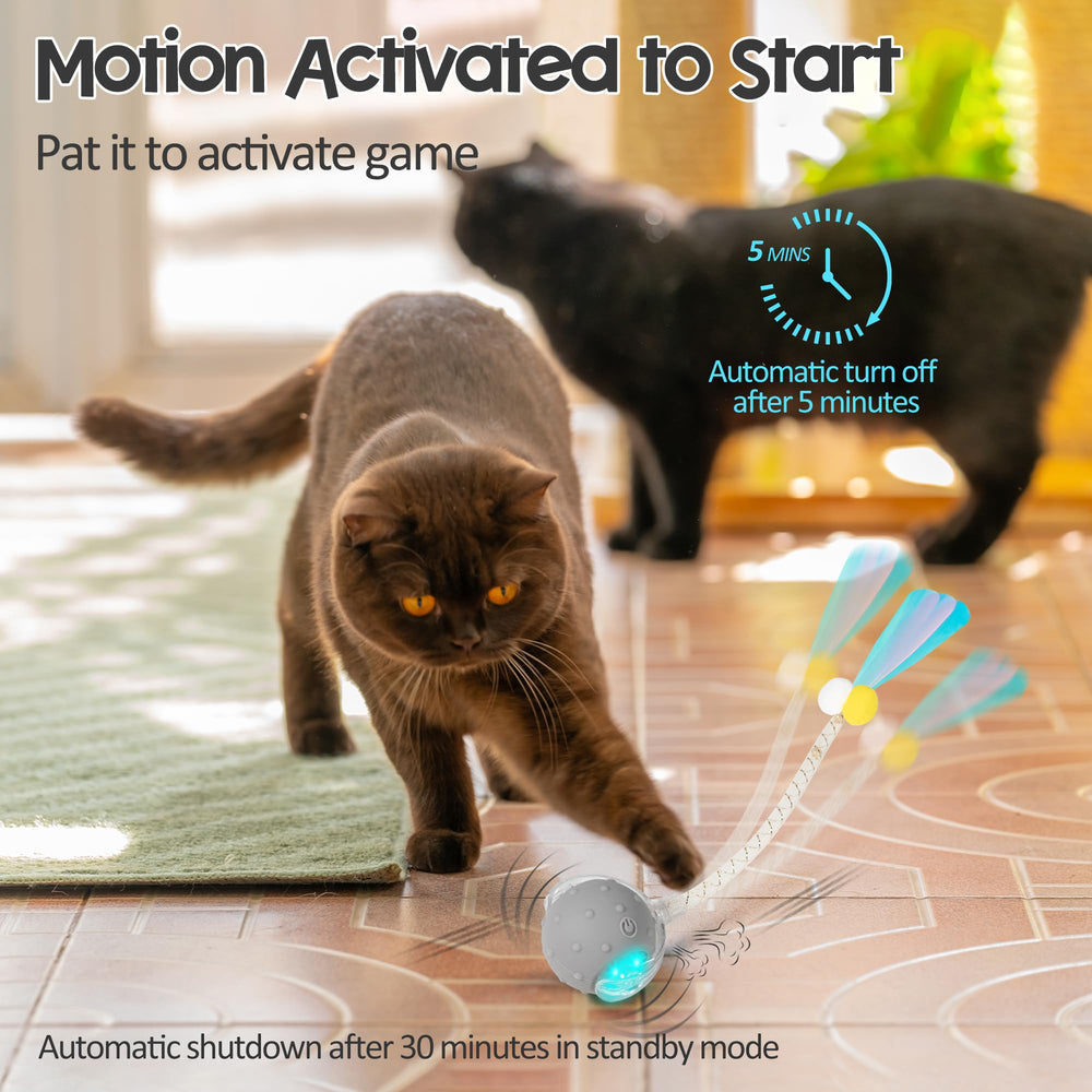 PLITTPETTS interactive cat ball rechargeable features quick USB-C charging for ready-to-play sessions.