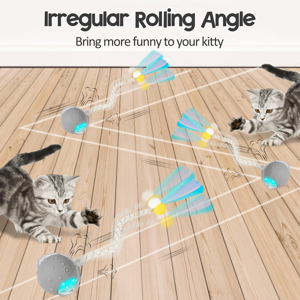 PLITTPETTS interactive cat ball tail accessory demonstrates extended chase and hunting-esque play.