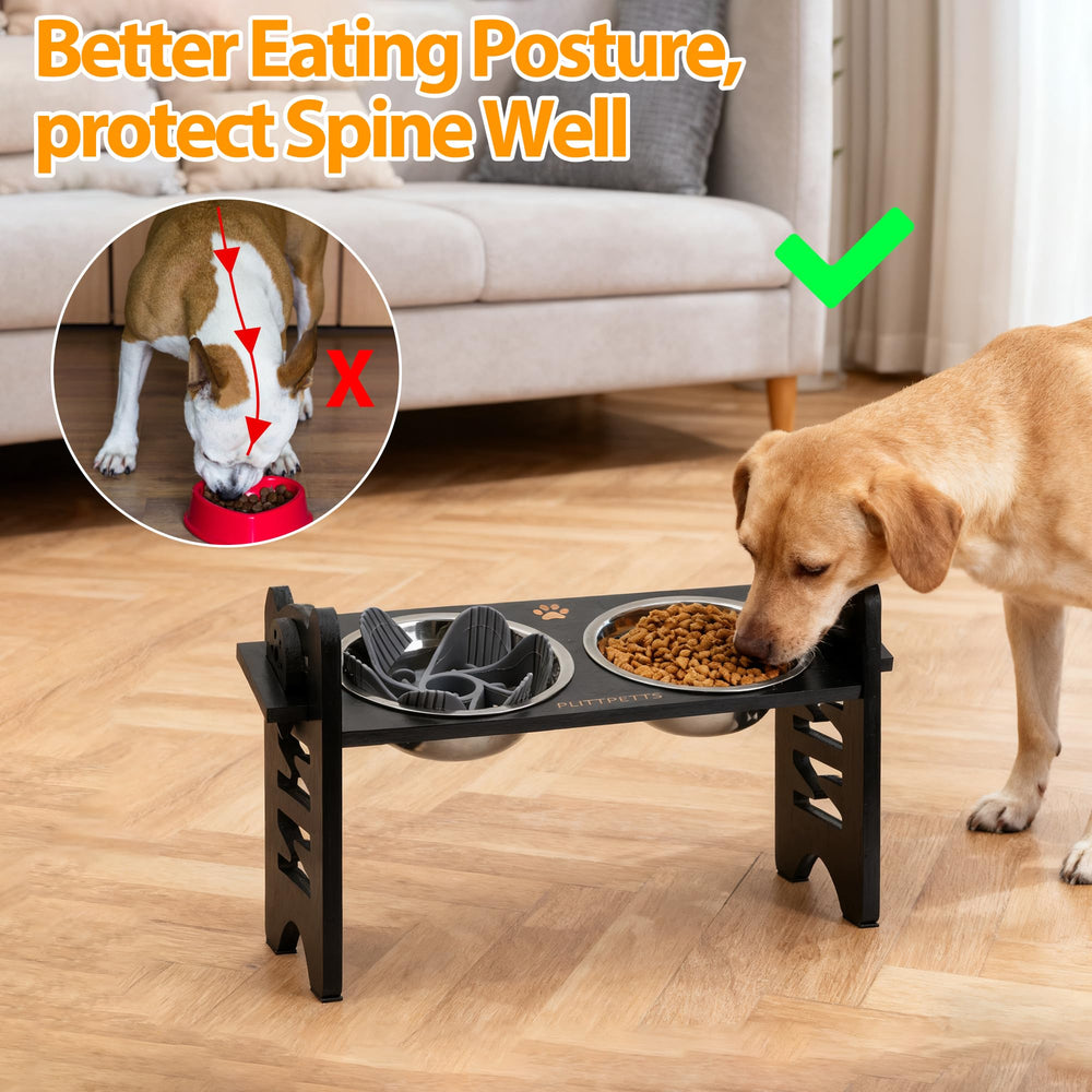PLITTPETTS tilted 15-degree platform illustrates ergonomic feeding angle for easier swallowing.