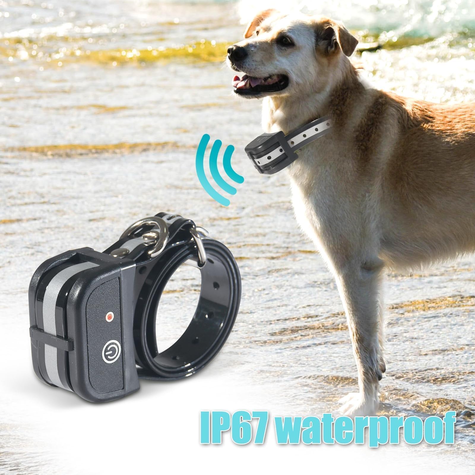 plkm compatibility image showing multiple receivers for separate dogs