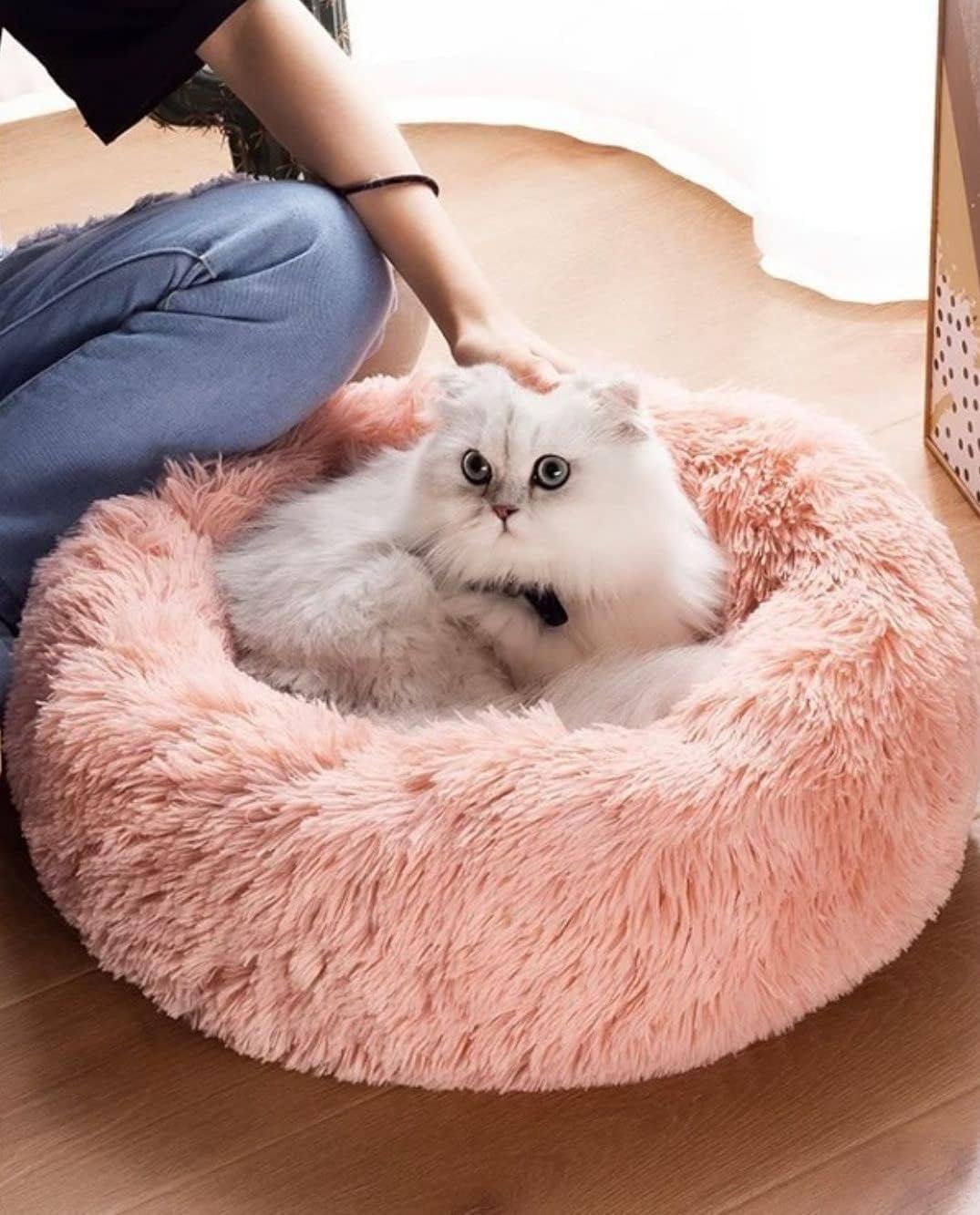 Plush donut bed soft padding closeup emphasizes warmth and support.