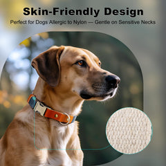 Plutus Pet adjustable dog collar grows with puppies to large dogs