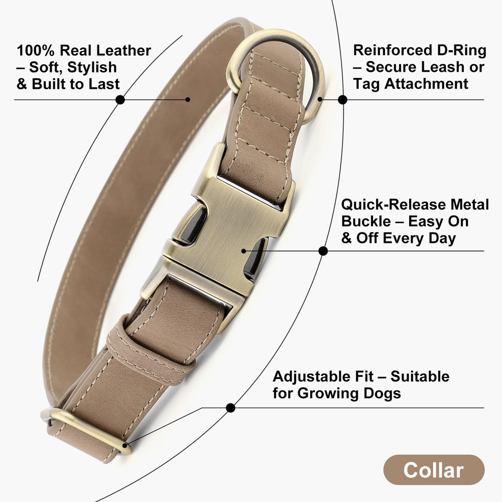 Plutus Pet adjustable leather collar for small dogs shows a snug, flexible fit.