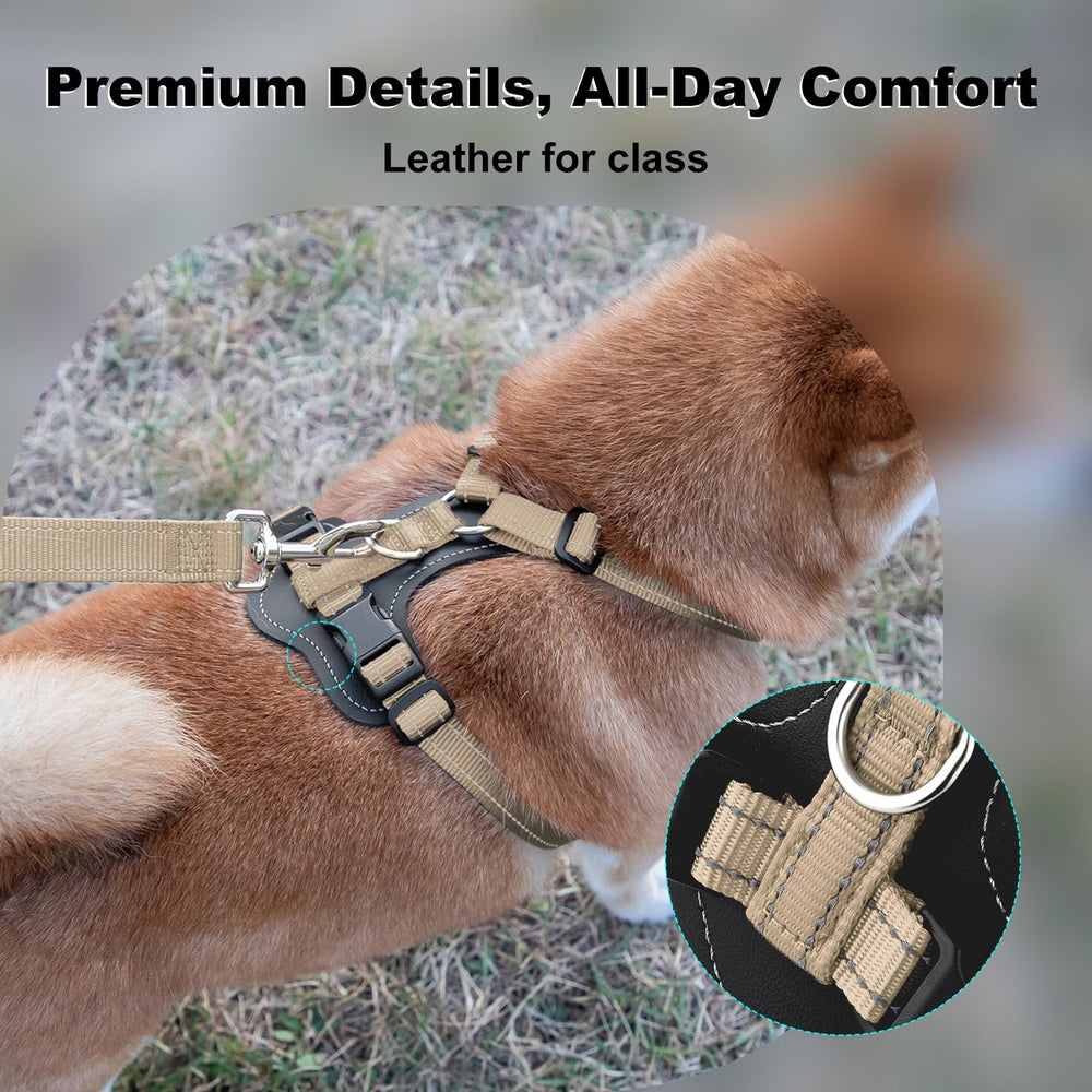 Plutus Pet adjustable no-pull harness back clip enables comfortable daily walks with secure restraint.