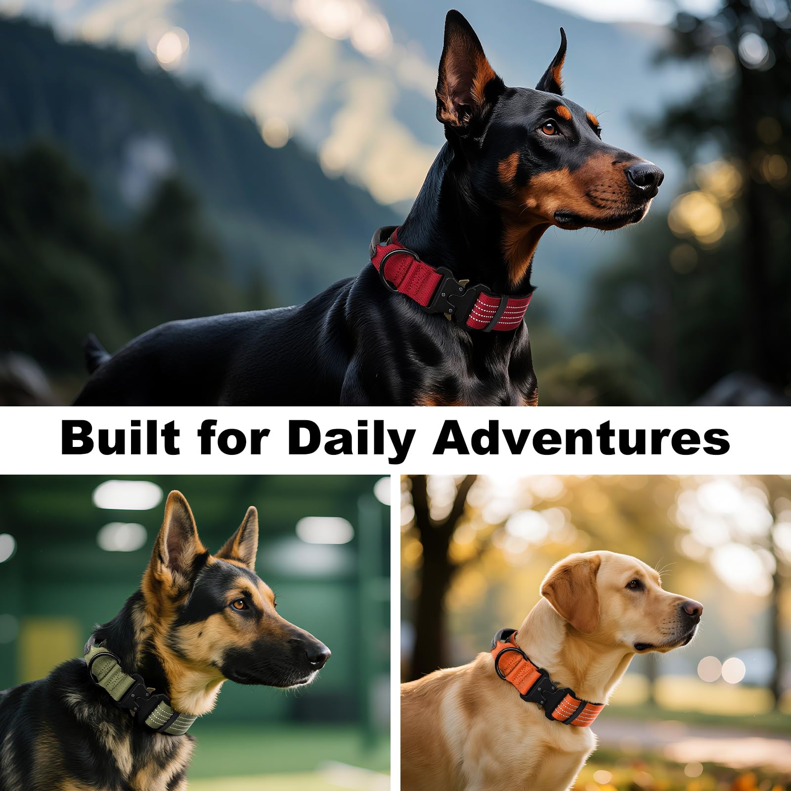 Plutus Pet chocolate medium-large collar suits stylish outdoor adventures.
