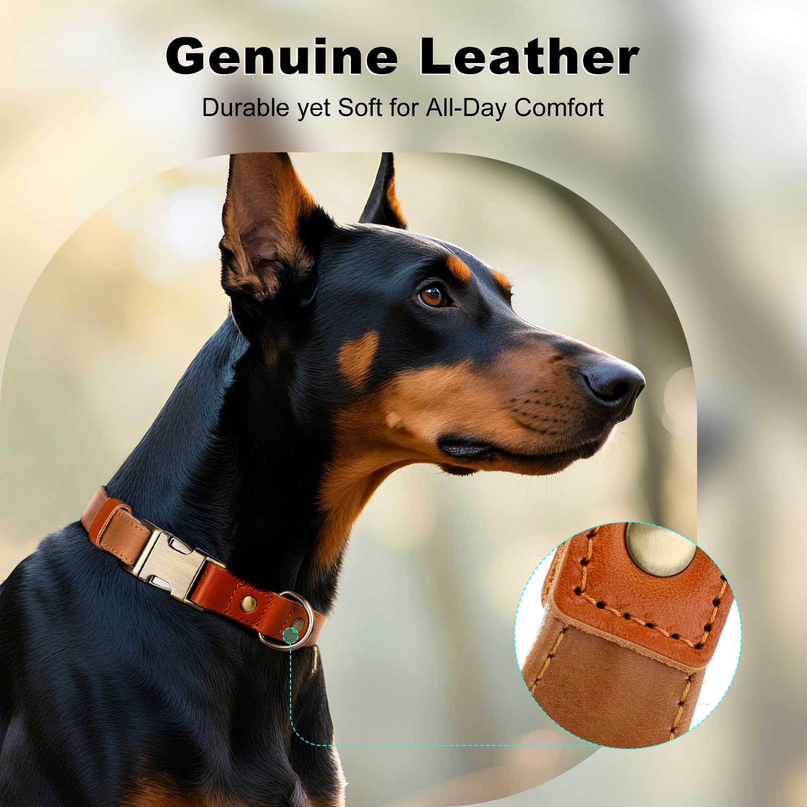 Plutus Pet adjustable-slider closeup illustrates precise fit as your dog grows