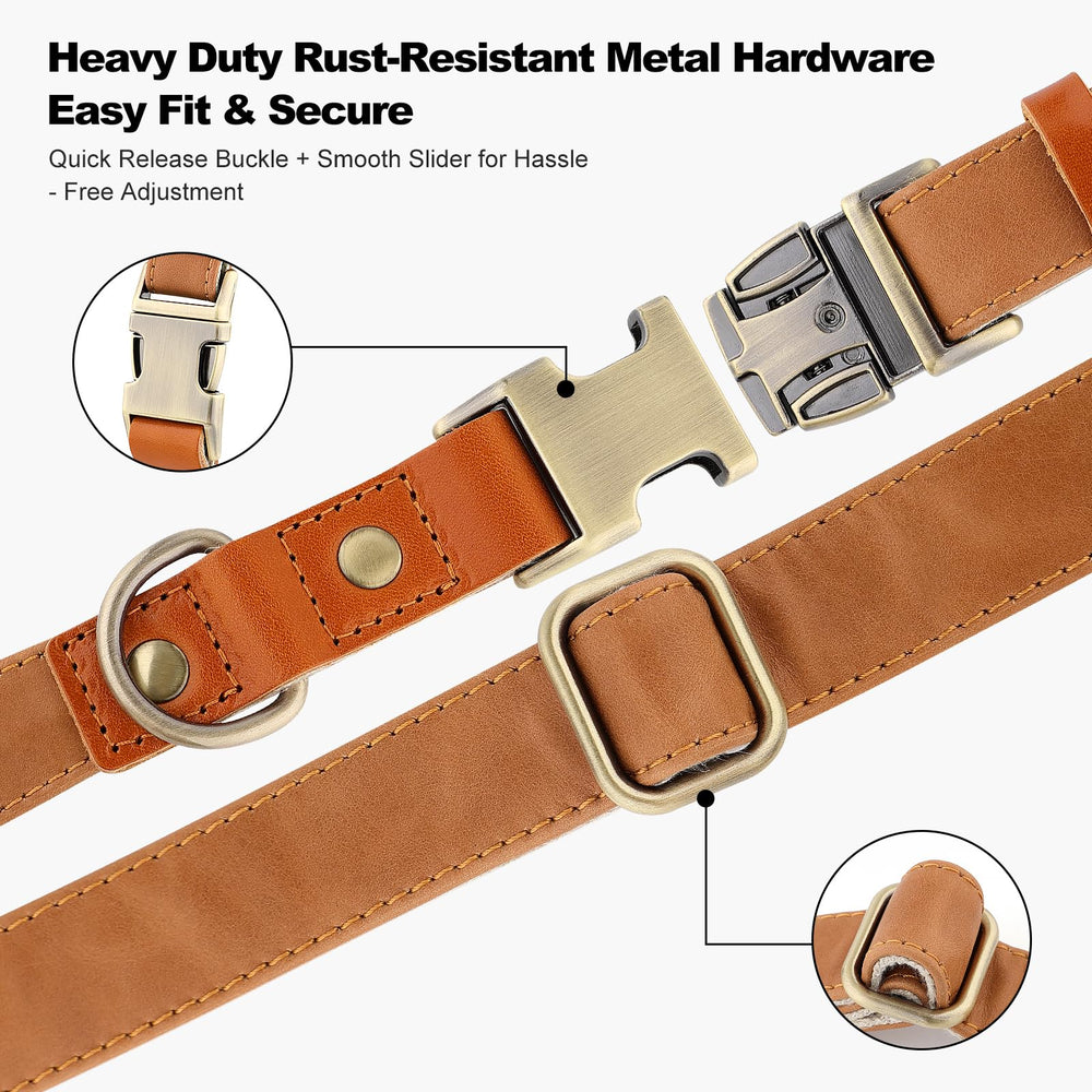 Plutus Pet collar worn on dog during walk shows durable, comfortable everyday wear