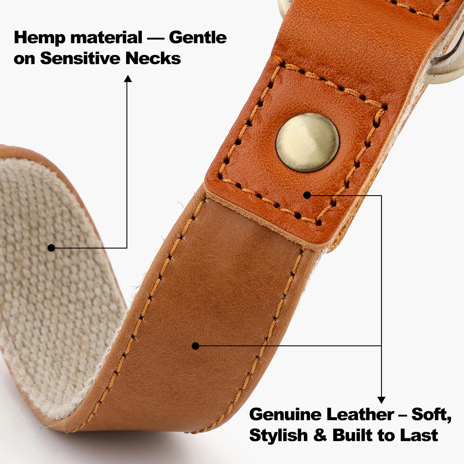 Plutus Pet quick-release buckle closeup demonstrates easy on/off during busy walks