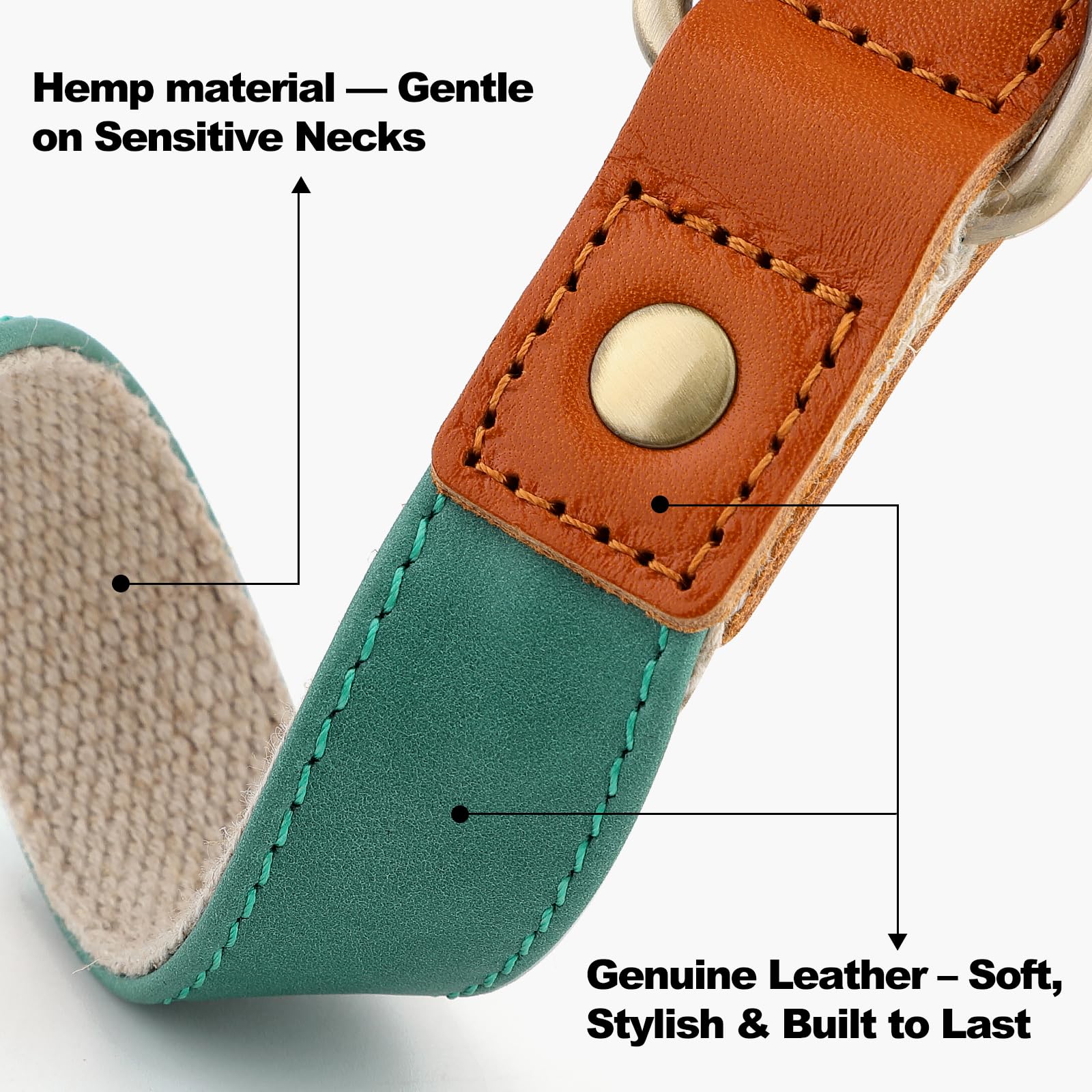 Plutus Pet collar side buckle green S demonstrates quick-release convenience for rapid on-off