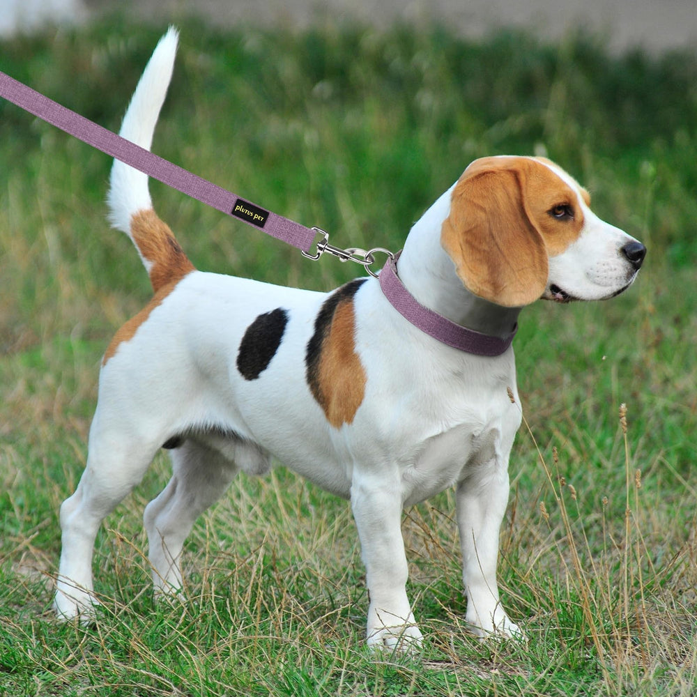 PLUTUS PET conjunto collar y correa facilita ajustes para perros de todos los tamaños.