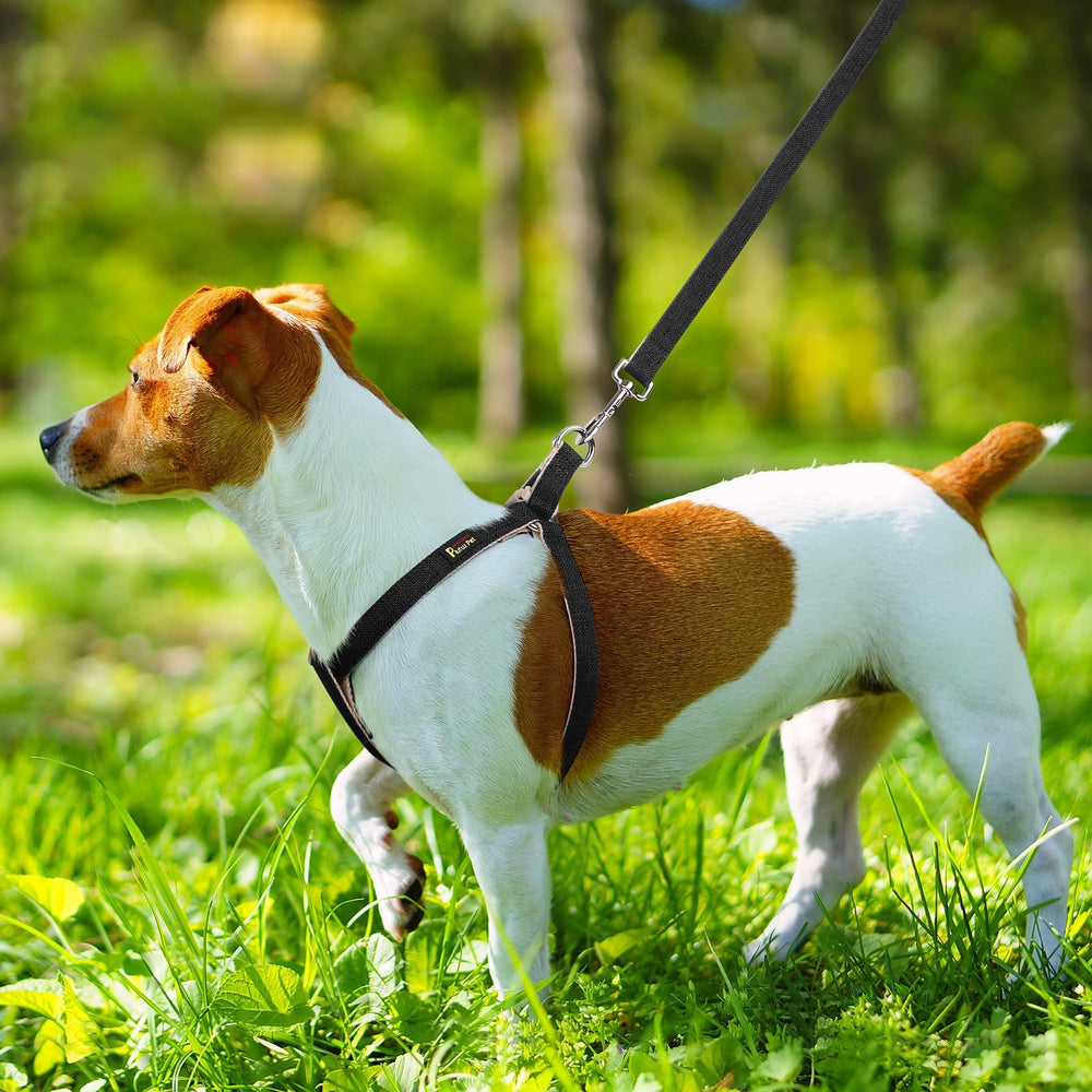 Plutus Pet Cotton Hemp Step-In Harness black-detail closeup shows durable, skin-friendly fabric