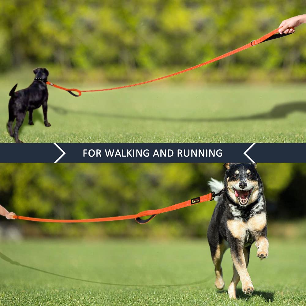 Plutus Pet leash in park walk showing durable nylon construction