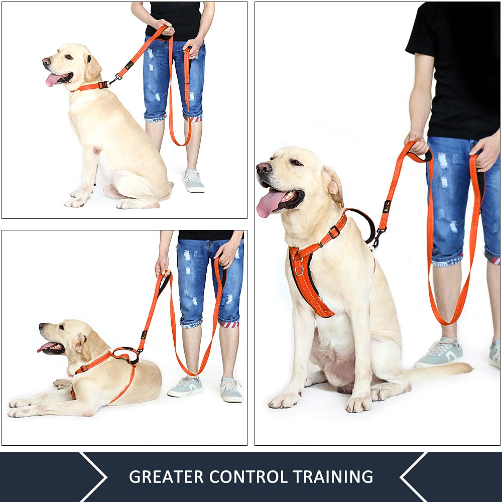 Plutus Pet leash padded handles for comfortable grip on long walks