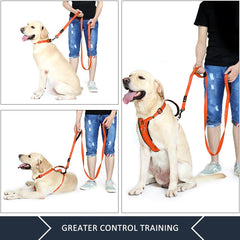 Plutus Pet leash padded handles for comfortable grip on long walks