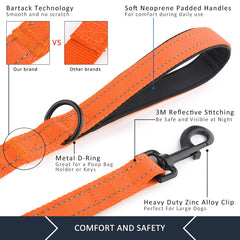 Plutus Pet leash reflective stitching enhances nighttime visibility