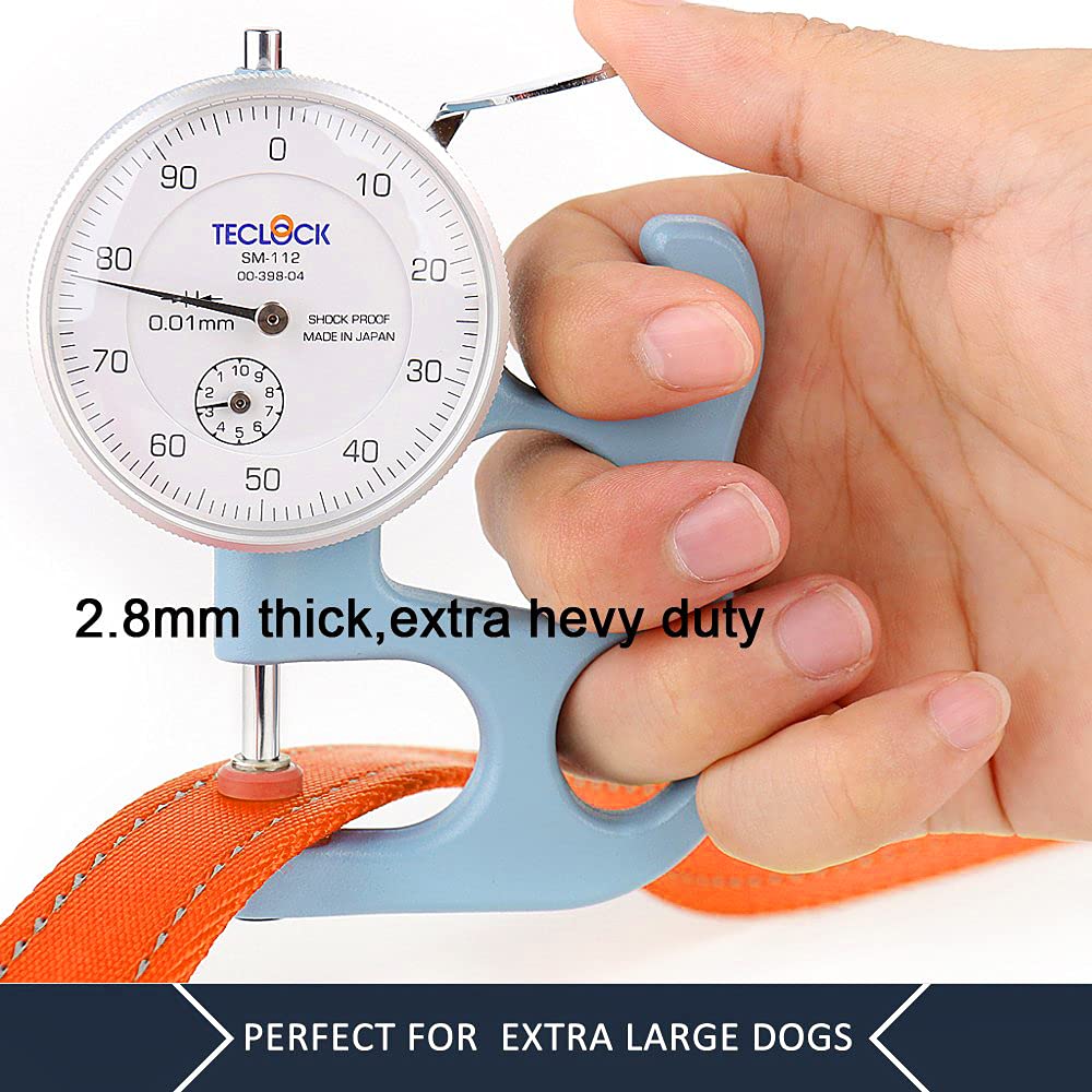 Plutus Pet leash with large clasp and D-ring for accessories