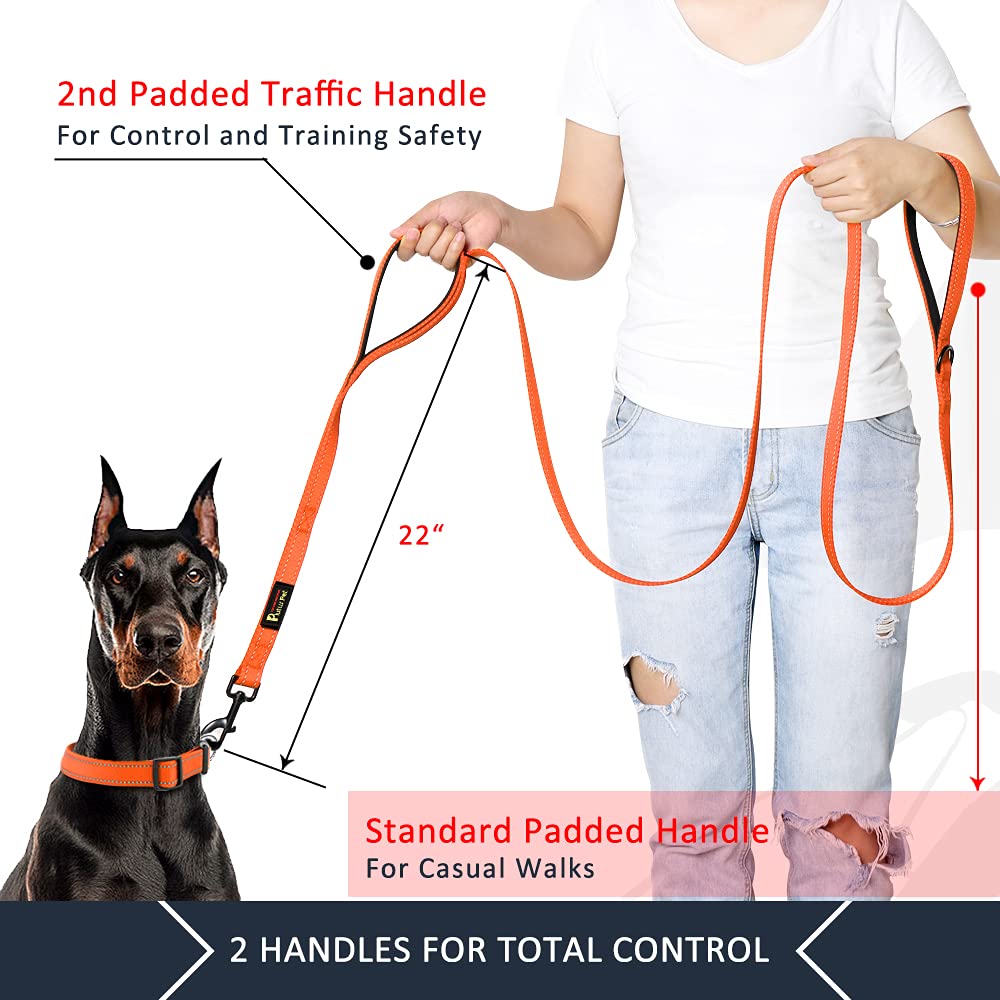 Plutus Pet leash traffic handle closeup for near-traffic control
