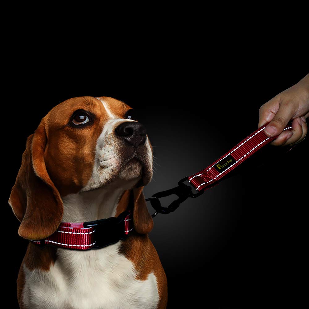 PLUTUS PET leash ideal for walkers, trainers, and service dogs in crowds