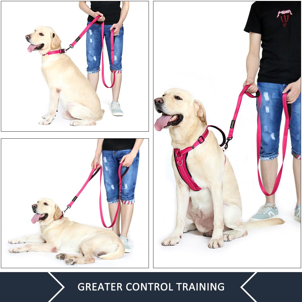 Plutus Pet dual-handle traffic view highlights quick control in crowded areas.
