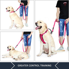 Plutus Pet dual-handle traffic view highlights quick control in crowded areas.