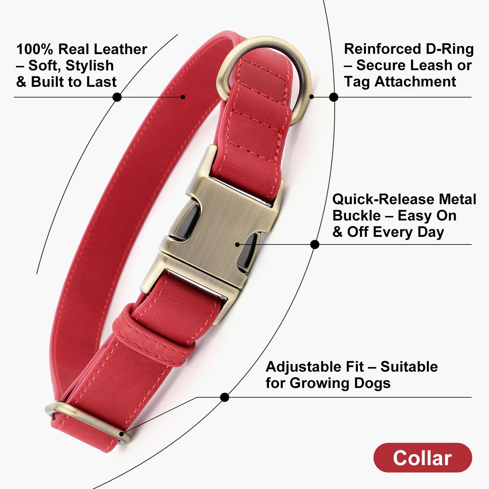 Plutus Pet red leather collar with quick-release buckle for fast on/off.