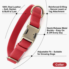 Plutus Pet red leather collar with quick-release buckle for fast on/off.