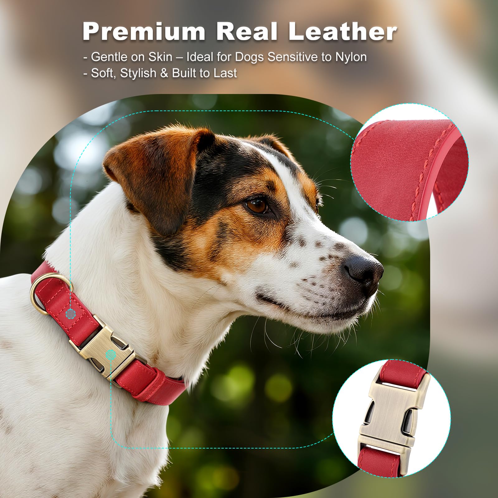 Plutus Pet red leather collar with reinforced D-ring for secure daily walks.