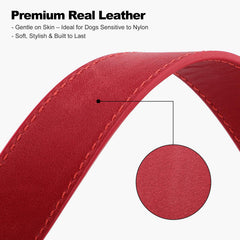 Soft real leather texture from Plutus Pet collar offers skin-friendly comfort.