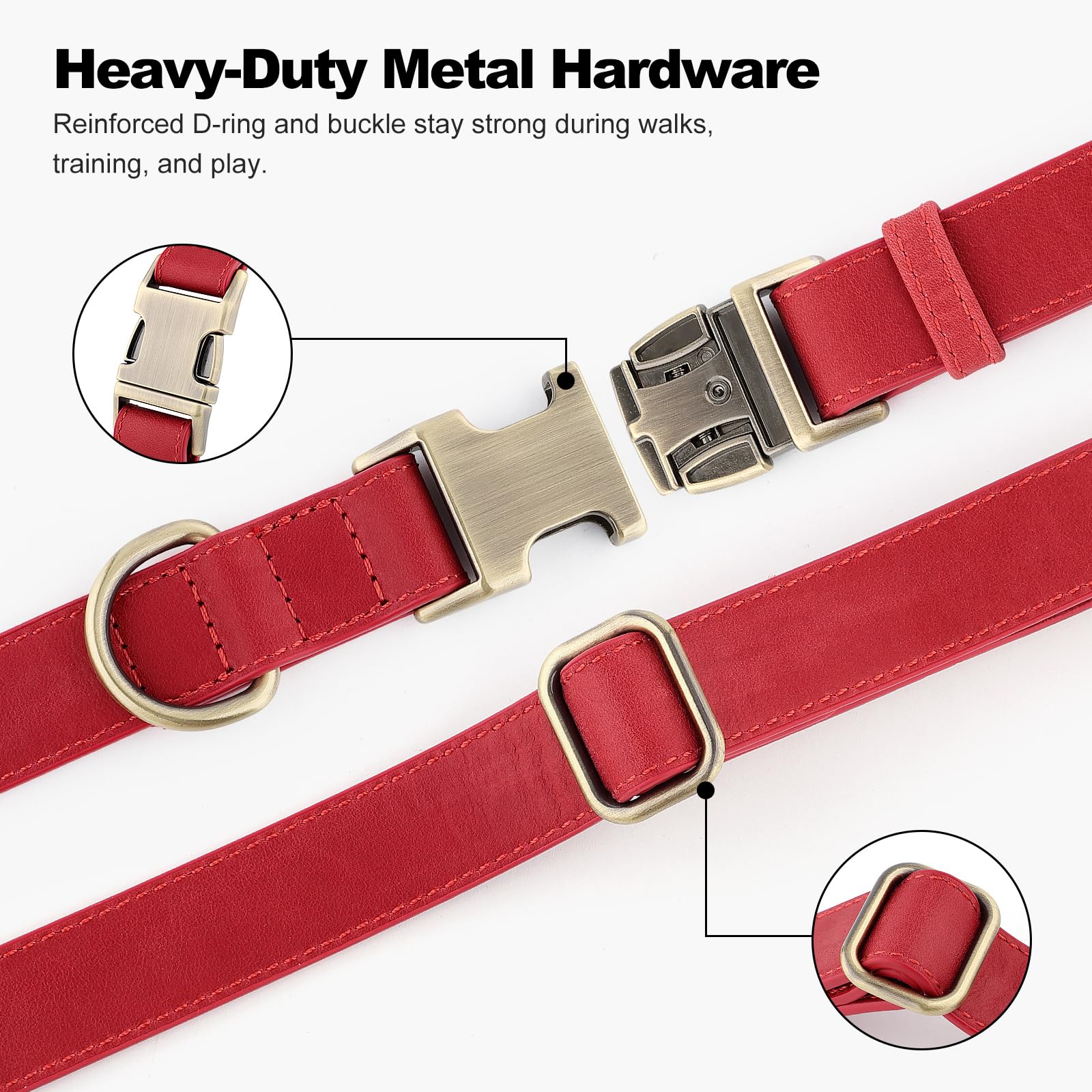 Adjustable strap on Plutus Pet collar fits small to large dogs.