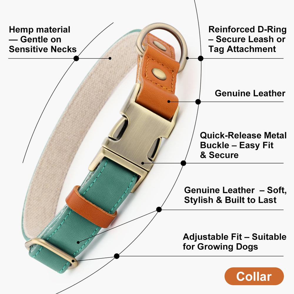 Plutus Pet adjustable collar grows with your dog through seasons and growth.
