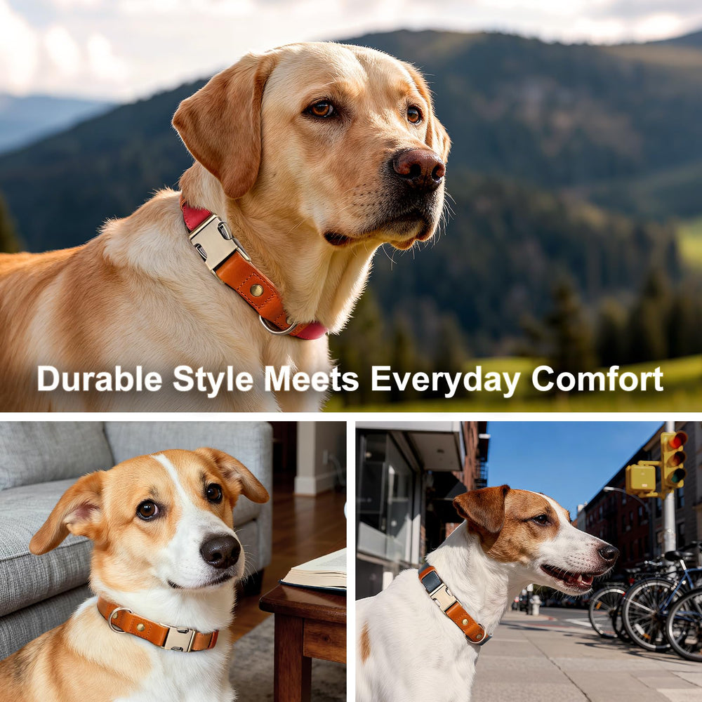 Plutus Pet adjustable fit for seasonal coat changes and growing dogs