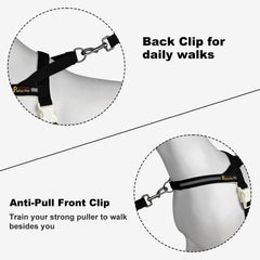 Plutus Pet harness back D-ring ready for daily walks.