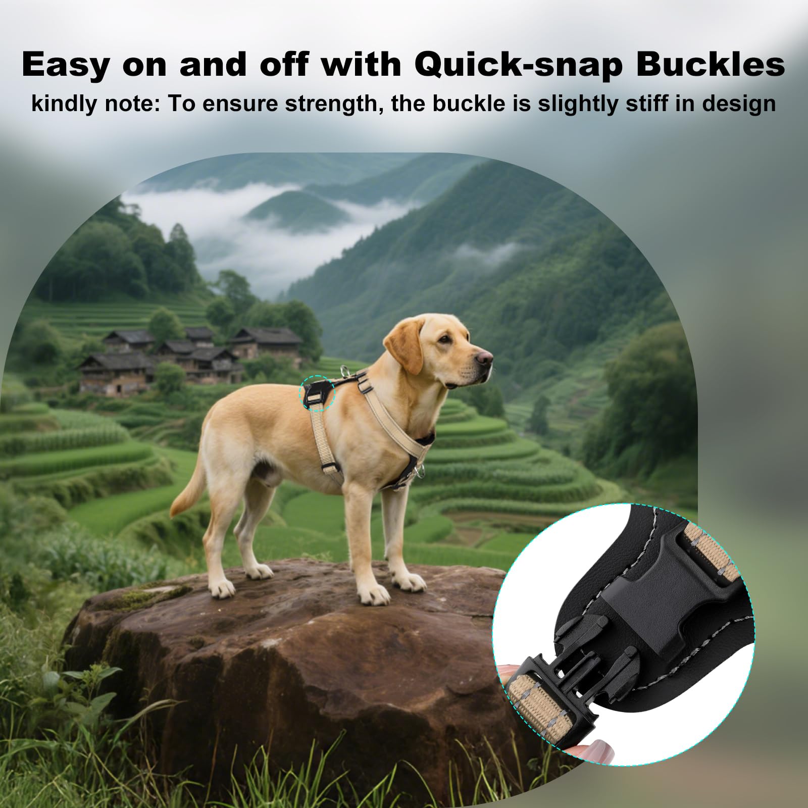 Plutus Pet leather trim details provide durability with a refined look.