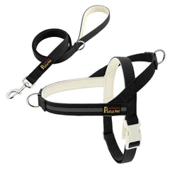 Plutus Pet harness on dog demonstrates quick-fit ease and comfort.