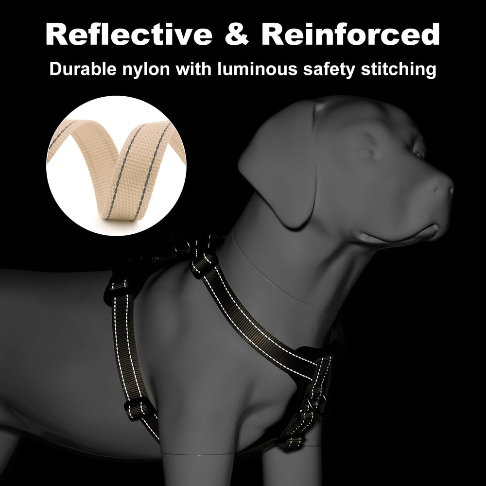 Plutus Pet reflective stitching improves visibility during dawn or dusk strolls.
