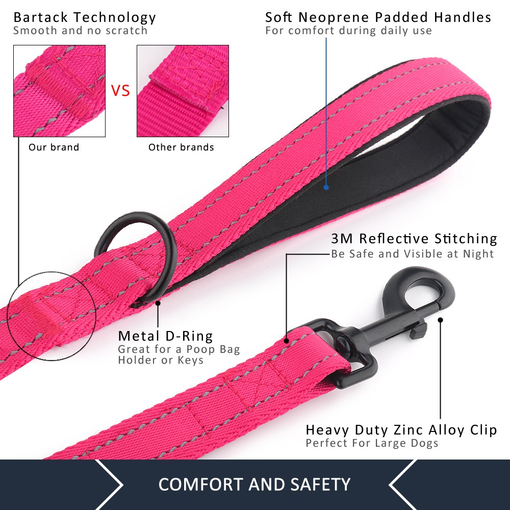Plutus Pet heavy-duty clasp closeup demonstrates rugged durability.