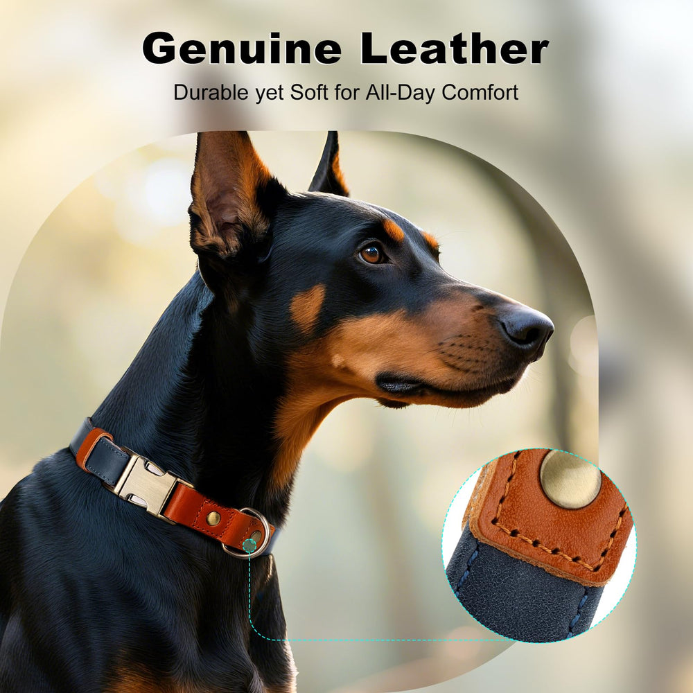 Plutus Pet heavy-duty hardware collar withstands active outdoor adventures
