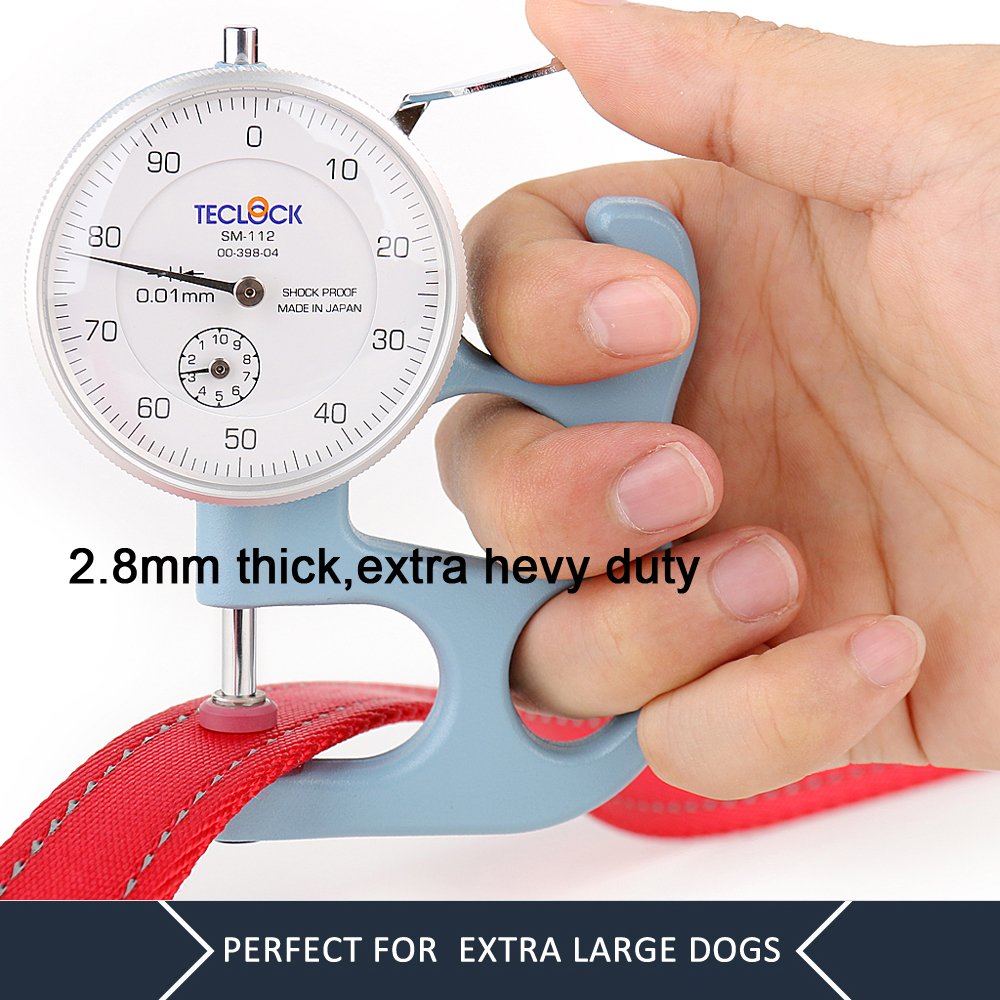Plutus Pet heavy-duty nylon leash built for large dogs.