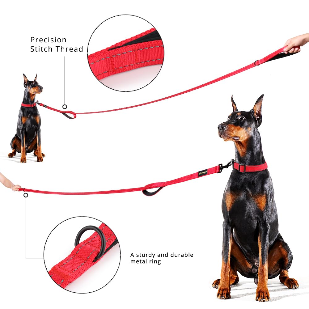 Plutus Pet large clasp and D-ring for accessories.