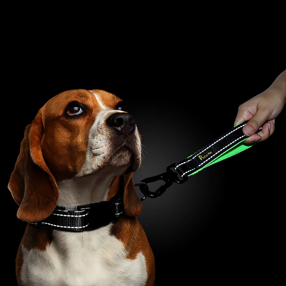 PLUTUS PET premium-quality leash with safe durable construction for everyday use