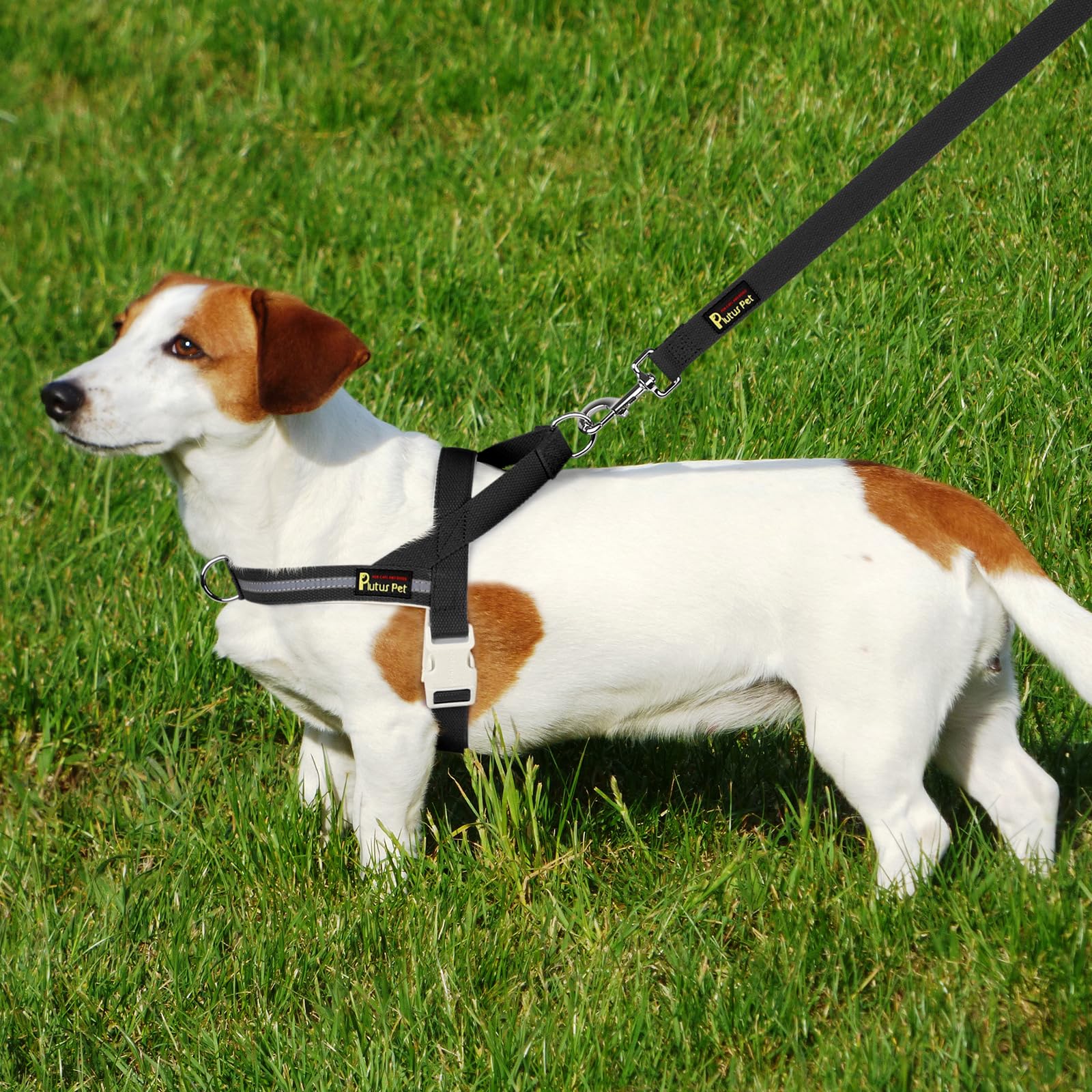 Plutus Pet 5ft leash with soft-padded handle for comfort.