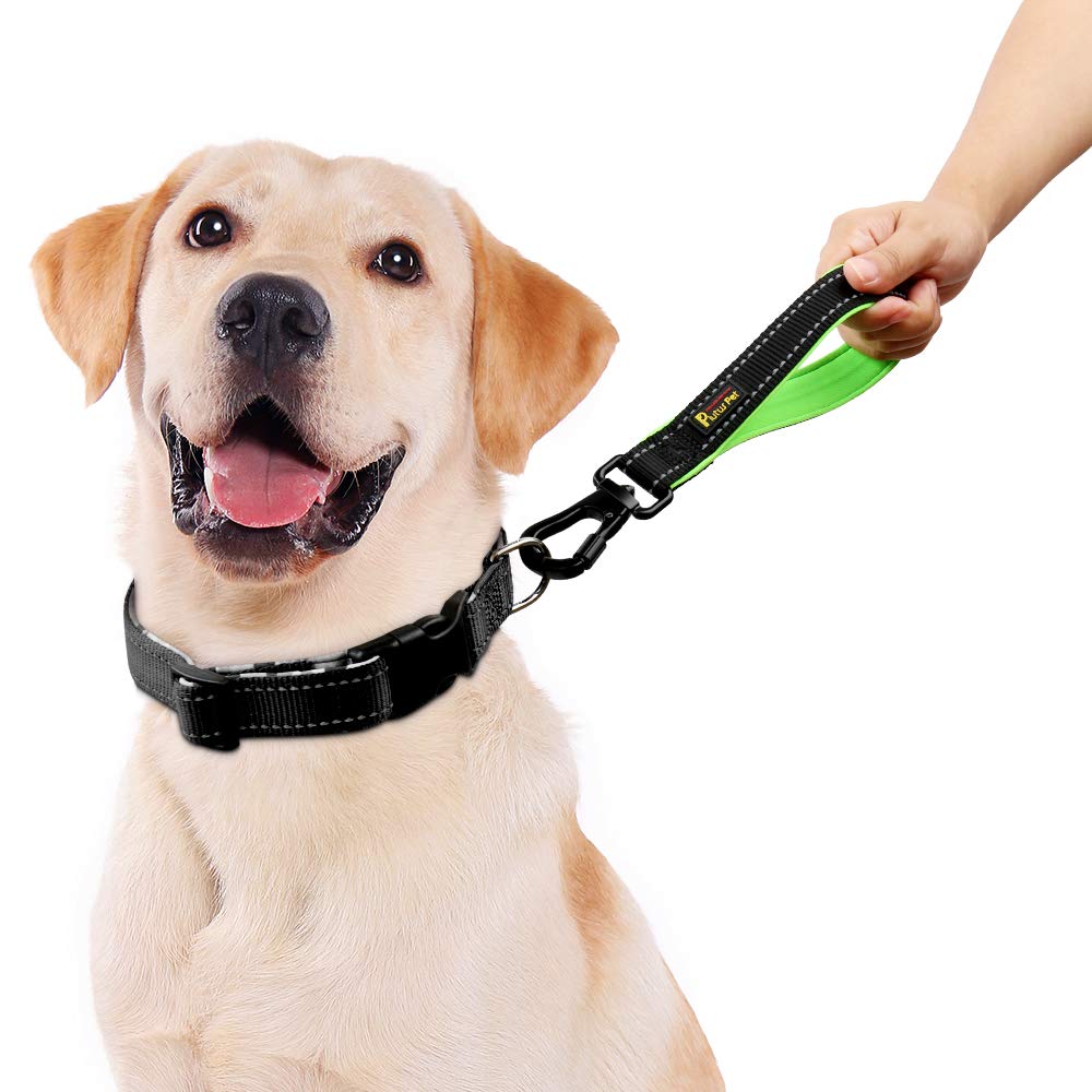 PLUTUS PET padded neoprene handle leash reduces leash burn during strong pulls